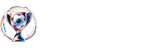 中超直播